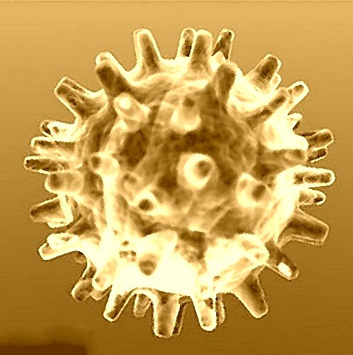 Создание иммуносенсора для определения антител вируса Епштейна-Барр.